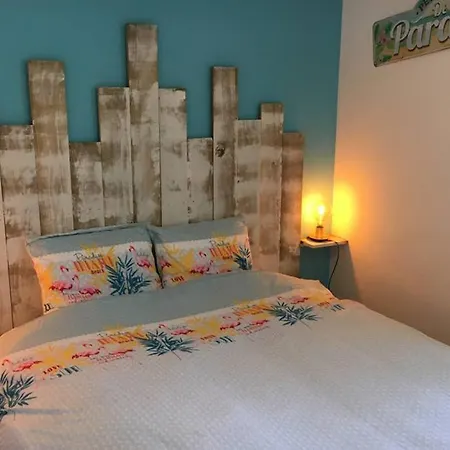 Un Petit Coin De Paradis Au Centre De * Caen